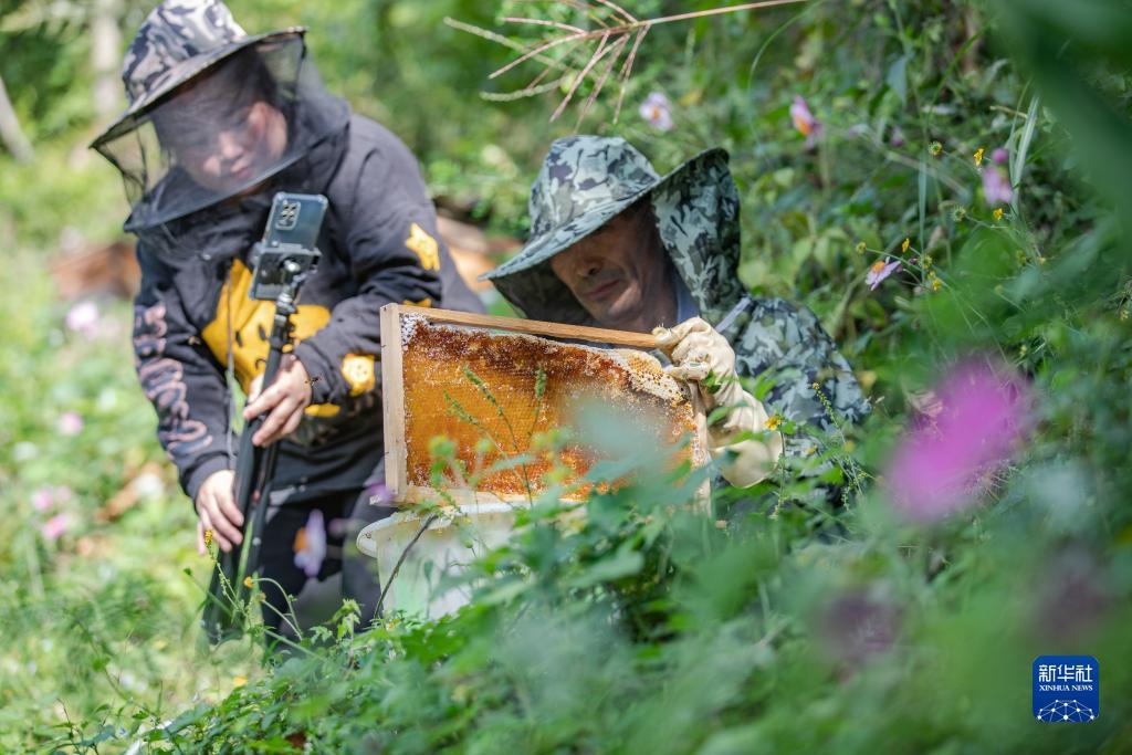 下载app送18彩金